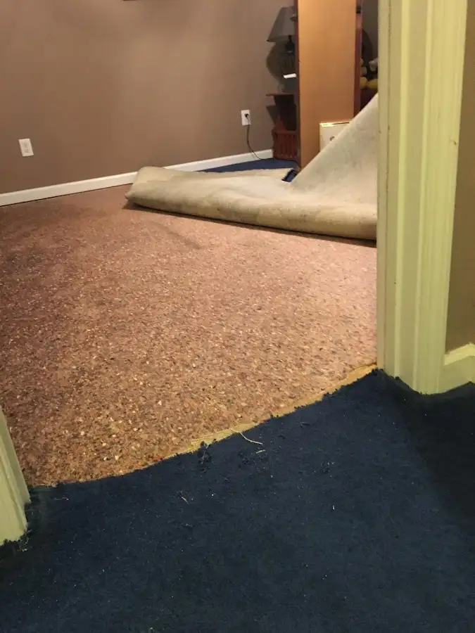 Carpet pad removal revealing water damage during Water Mitigation Services in Grafton