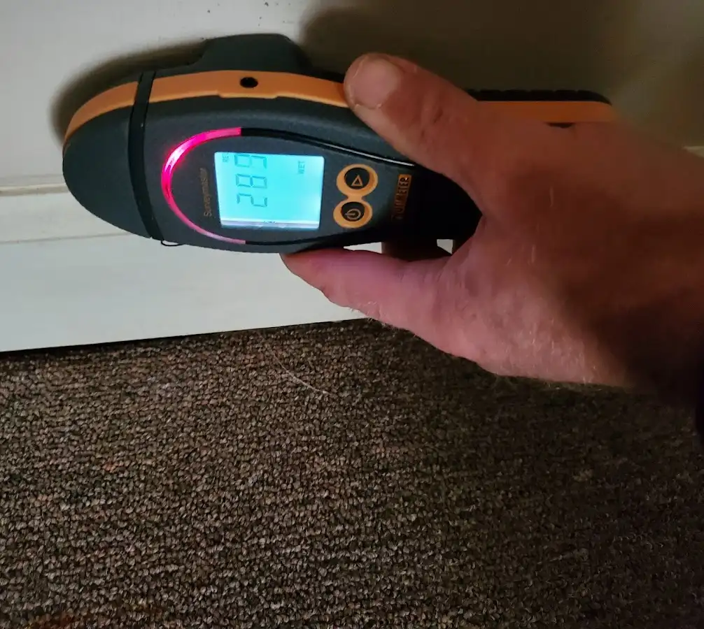 Moisture detection at baseboard during Mold Inspection & Testing in Grafton