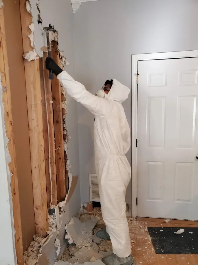 Commercial Water Damage Restoration in Grafton, OH